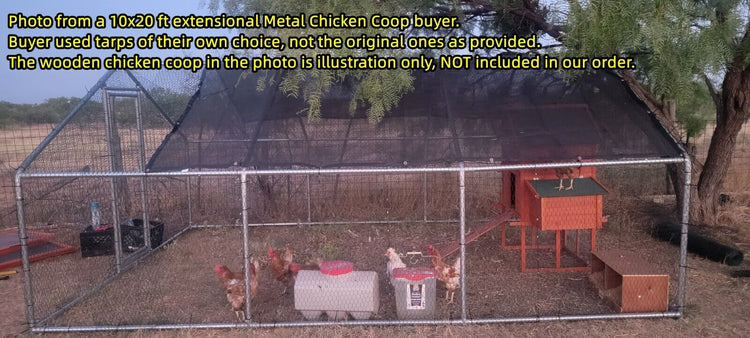 Chicken Run 20x10 ft Walk in Coop w/ Metal Door