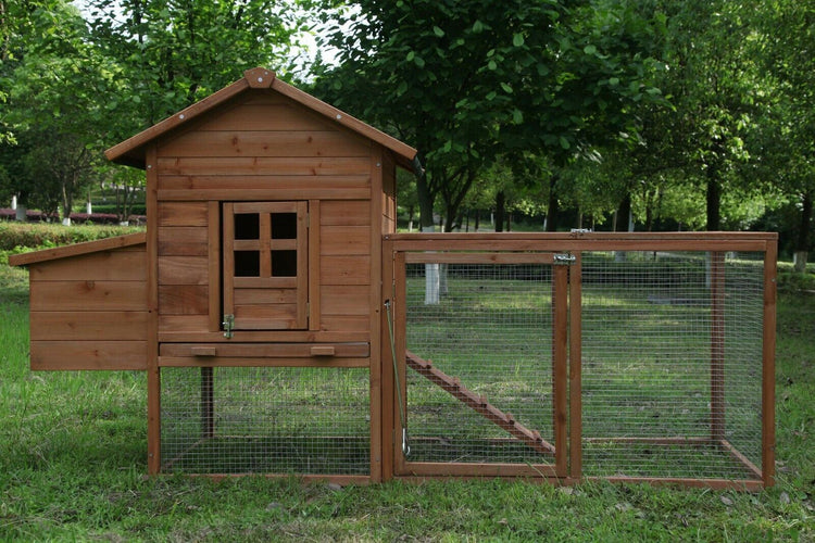 Chicken Coop w/  Run and w/Nesting Box 80''